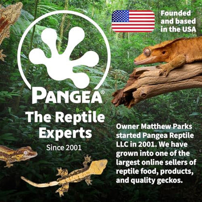 Pangea Microdish Kit for Micro Gecko Feeding, Water Bowl for Tiny Reptiles | Branch Mount, Zip Ties Included 1.5in x .75 in - size: S Branch Mount