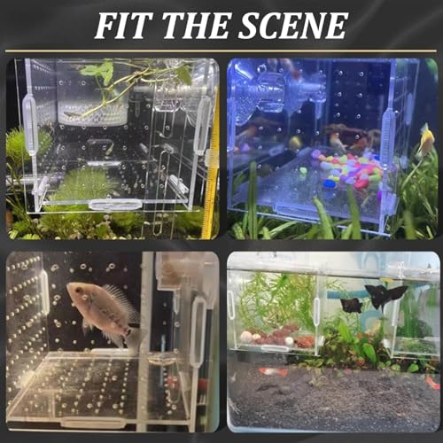 8x4x4 Transparent Insulation Fish Breeding Box Detachable Acrylic Small Fish Tank with Suction Cups for Shrimp Clown and Guppy Breeder Box