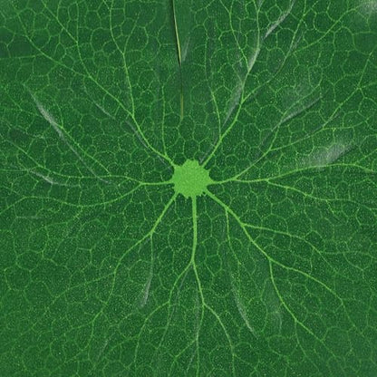 5pcs Simulated Lotus Leaf Ornament Set, Floating Fish Tank and Pond Decor, Vivid Artificial Lotus Leaves in 10cm to 38cm Sizes for Aquarium and Outdoor Water Garden Display