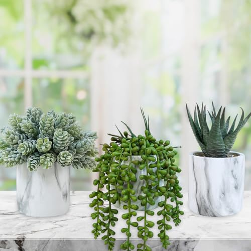 Winlyn Set of 3 Small Artificial Succulent Potted Plants Fake Aloe Hops String of Pearls in Modern Marble Ceramic Planter for Home Garden Bathroom Shelf Office Desk Tabletop Indoor Outdoor Décor