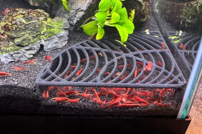 LifeWithPets Aquarium Shrimp Tank Decorations | Corner Shrimp Hide | Shrimp Cave | Breeding Shrimp Hide | Shrimp Tunnel - size: Corner Hide
