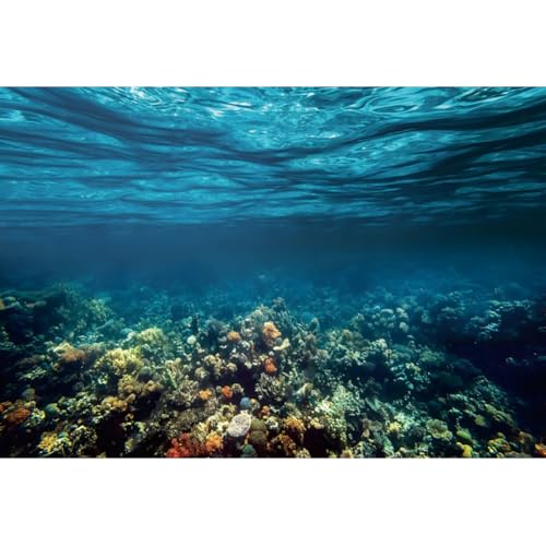 Renaiss 5x3ft Underwater World Backdrop Undersea Sunlight Seascape Photography Background Deep Blue Water Seabed Corals Aquarium Backdrop Ocean Diving Hawaiian Luau Party Banner Photo Booth Props - color: Sea868, size: 5x3ft