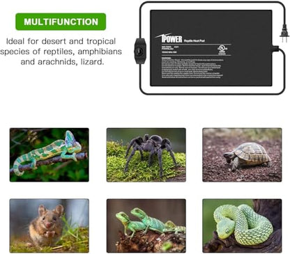 iPower 8 by 12-Inch Reptile Heat Mat with Temperature Adjustable Controller Knob, LCD Digital Aquarium Thermometer, Under Tank Warmer Terrarium Heat Pad for Reptiles and Amphibians - size: 8" x 12", style: Heat Pad with Adjust Knob+ Thermometer