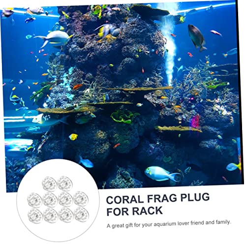 Happyyami 10pcs Coral Button Bracket Fish Tank Stand Coral Plugs Coral Bracket Baseboard Trim Coral Rack Magnetic Fish Tank Coral Rack Fish Tank Accessories Rounde Equipment Aquarium Acrylic