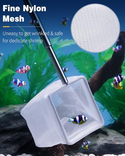 Pawfly Aquarium Shrimp Net, 2 Inch Tiny Fish Tank Net with Extendable Stainless Steel Handle - color: Black Square, size: 2 Inch