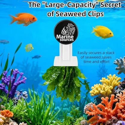 Magnetic Seaweed Feeding Clip for Saltwater Aquarium, Automatic Fish Feeder with Algae Magnet Clip, Glass Tank Accessory for Aquatic Pets, Up to 15mm Glass Thickness - color: Black-2Pcs