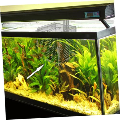 Toddmomy 1set Fish Tank Isolation Box Cups and Hook Acrylic Breeding Holder for Safe Fish Separation Design for Easy Installation and Cleaning