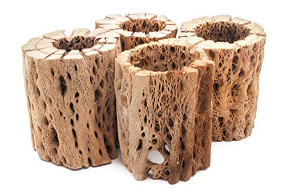 3 to 48 Inch All Natural Teddy Bear Cholla Wood Extra Hollow Large Untreated Organic Aquarium Driftwood Decoration Chew Toy Shrimp Crab Multi-Quantity (4 Pieces, 3 inch) - size: 4 Pieces, 3 inch