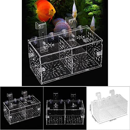Fish Isolation Box for Aquarium,Fish Breeding Box, Acrylic Transparent Fish Tank for Tank Anemone Aquarium Hatchery Incubator Holder Breeder Quarantine Breeding Isolation Box (20CM*10CM*10CM)