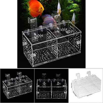 Fish Isolation Box for Aquarium,Fish Breeding Box, Acrylic Transparent Fish Tank for Tank Anemone Aquarium Hatchery Incubator Holder Breeder Quarantine Breeding Isolation Box (20CM*10CM*10CM)