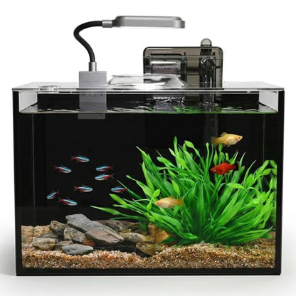 2.5 Gallon Nano Aquarium Kit, Glass Small Fish Tank Starter Kit with Light, Filter, Gravel Rock,Lid. Ultra Clear Rimless Desktop Fish Tank for Small Fish,Betta,Shrimp.Complete Version, Black