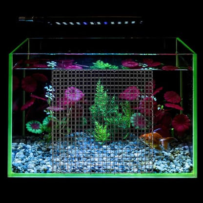 Ciieeo Aquarium Fish Tank Grid Divider with 18pcs Black Plastic Filter Boards 30x30cm Removable Partition Nets and 10 Suction Cups for Bottom Tank Isolation and Breeding Separation