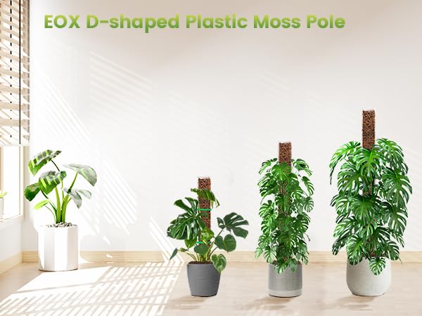 EOX 6 Pack 24" x2 + 36" x2 + 48" x2 Plastic Moss Pole for Monstera, Large D Shaped Poles for Climbing Plants Work with Sphagnum Moss, 210 Inch Total - size: 6 PACK-24+36+48Inch
