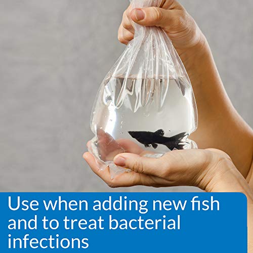 API PIMAFIX Freshwater and Saltwater Fish Remedy 64-Ounce Bottle - size: 64-Ounce