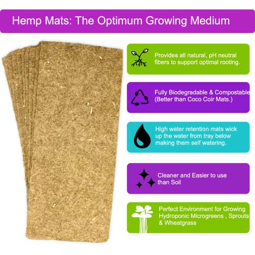 Microgreens Kit Refills - 9 Mats and 9 Different USA Seed Packs | Refill set with 9 plant mats and 9 seed packs for the ZestiGreens microgreens growing kit - color: Sampler Microgreens Refill