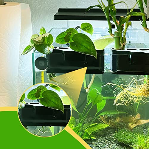 Aquarium Plant Holder for Rimmed Tank, Aquarium Hanging Plant Holder, Plastic Aquatic Plant Pot with 5 Hole, Fish Tank Decorations for Aquatic Plants, 0.5 inch - size: 0.5 Inch