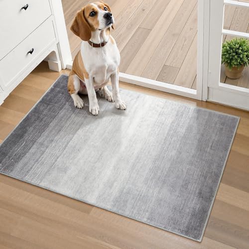 Wonnitar Modern Ombre Small 2x3 Entryway Rug, Washable Grey Front Door Mat, Non-Slip Contemporary Kitchen Accent Mat Gradient Faux Wool Indoor Floor Carpet for Bathroom Bedside Entrance (Grey, 2'x3') - color: Grey, size: 2' x 3' (Rectangular)