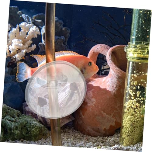 BESPORTBLE 40Pcs Aquarium Suction Cup Clips with Soft Buckle Design for Secure Oxygen Tubing Durable Air Hose Holders for Fish Tank Maintenance Compact and Lightweight Clips for Easy