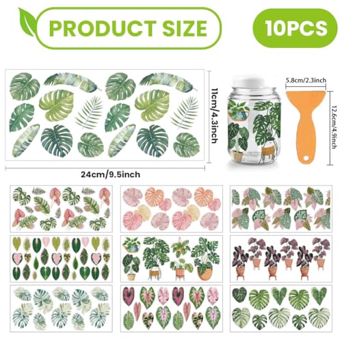 arricraft 10 Sheets Leaf Theme UV DTF Cup Wrap for 16OZ Glass, Tropical Leaves Rub on Decals PVC Transfer Stickers for DIY Cups Window Home Printing Decoration 24x11cm/9.4x4.3inch - style: Tropical Leaves Theme