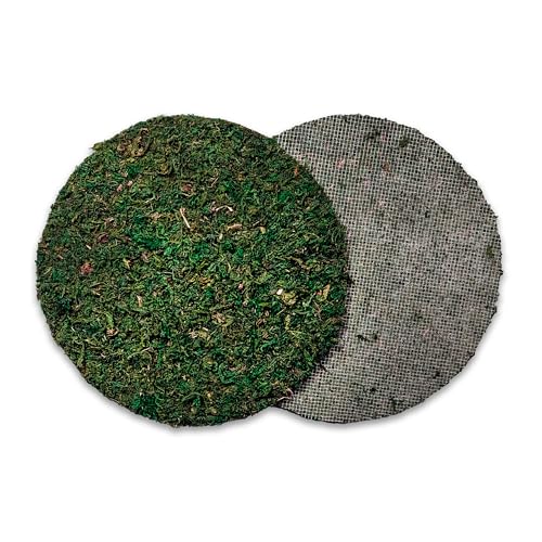 SuperMoss (26305) Moss Soil Topper | Preserved Green Mountain Moss with Mesh Backing | Indoor Plant Soil Cover for Flowerpots, Orchid Pots, Terrariums, and Craft Décor, 8” Set of 3, Green