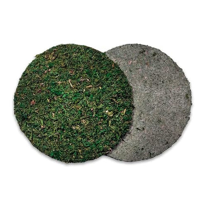 SuperMoss (26305) Moss Soil Topper | Preserved Green Mountain Moss with Mesh Backing | Indoor Plant Soil Cover for Flowerpots, Orchid Pots, Terrariums, and Craft Décor, 8” Set of 3, Green