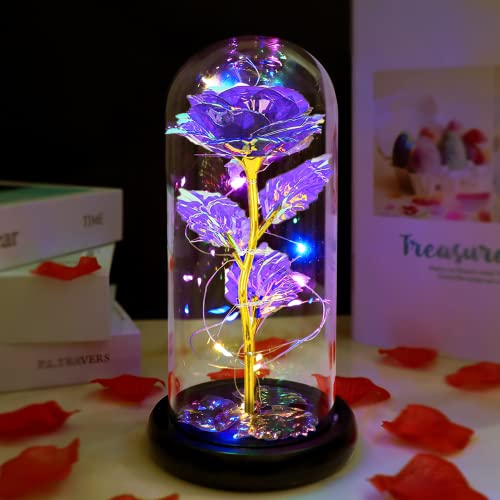 Fvawe Birthday Gifts for Women,Rose Glass Flowers Gifts for Mom,Galaxy Crystal Light Up Rose in A Glass Dome,Presents Girlfriend Wife Sister Grandma Her Anniversary Valentines Mothers Day, Purple - color: Purple Colorful