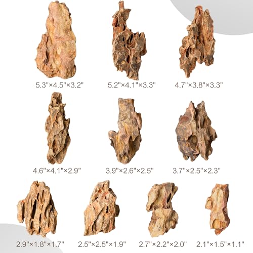 2.2-4.1 Inches Natural Dragon Stone, 10 PCS Small Aquarium Rocks for Aquascaping, Nano Tanks, Terrariums, Reptile Tanks & Aquarium Décor - size: 2.2-4.1 in