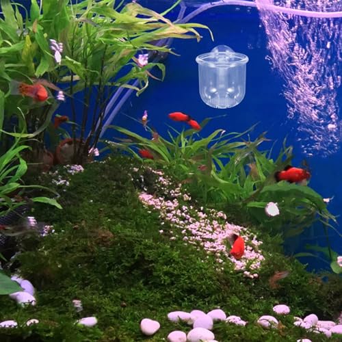 PRETYZOOM 4pcs Aquarium Fish Tank Feeding Cups with Suction Cup, Acrylic Fish Feeder Bowls for Bait and Food Holding, Small and Large Sizes for Aquarium and Shrimp Feeding Supplies