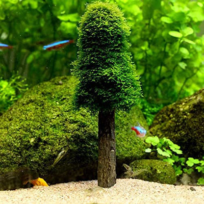 Aquarium Moss Holder for Growing Live Trees Shrimp Tanks Decoration Fish for Accessories
