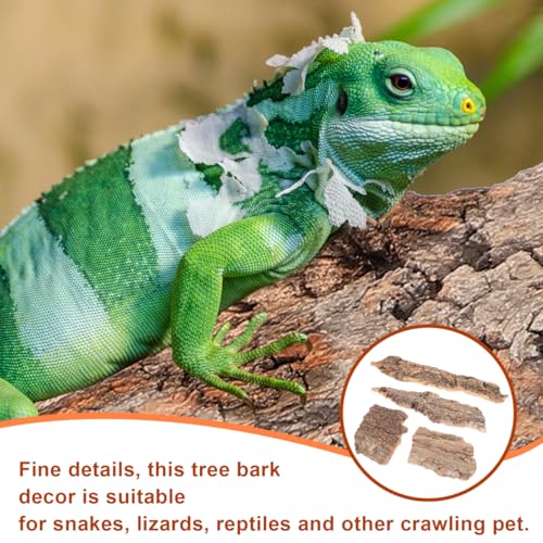 TOYANDONA 4PCS Cork Bark Reptile Hideout: Natural Wood Climbing Platform Reptile Tree Bark Bedding for Lizard Gecko Frog Tortoise, Terrarium Tank Aquarium Landscaping Decor Accessories