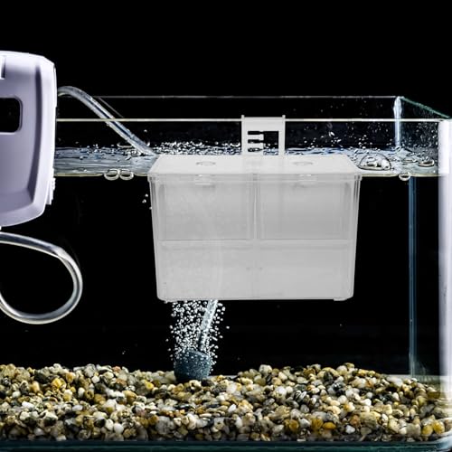 Fish Breeding Box with Hook and Suction Cup Aquarium Fry Incubator Isolation Hatchery for Tropical Fish for Spawning and Nursery