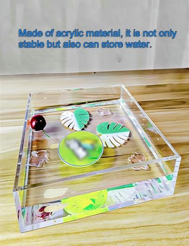 Thickness 3mm Storage Tray, Creative Photography Tray Acrylic Display Cabinet, Transparent Shallow Water Tank Cosmetics Advertising Shooting Props - size: 20x15x10cm