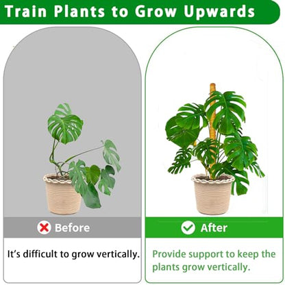 Moss Pole, 4 Pack 17Inch Monstera Plant Support for Climbing Plants Accessories Indoor -Stackable Moss Poles Plant Support Stakes -Coir Plant Pole Sticks for Potted Plants -Pothos, Tall Plant Trellis - size: 4pcs x 17 Inches
