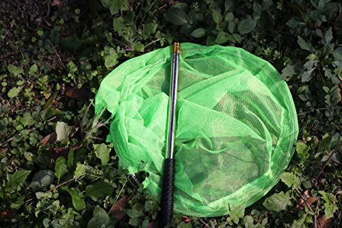RESTCLOUD Bait Net and Fishing Landing Net with Telescoping Pole Handle Extends to 59 inches - color: Green