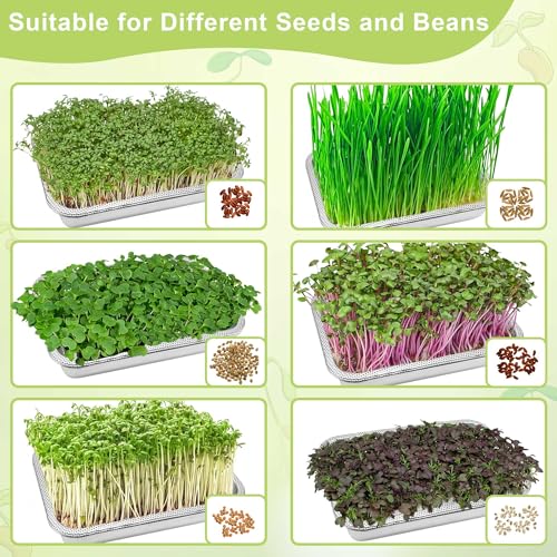 Microgreens Growing Kit 2-Tier 10.4 Inch Sprouting Trays | Stainless Steel Seed Sprouter with 0.3mm Encrypted Silicone Mesh,Beans Broccoli Alfalfa and Wheatgrass Sprouts Growing Kit - size: 10.4"L × 7.67"W Tray