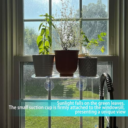 2 Pack 15 Inch Suction Cup Shelf for Plants Window - 5IN Extra Wide with Load-Bearing Brackets Window Shelf for Plants, Acrylic Window Sill Extender for Growing Herbs, Micro Vegetables, Succulents - size: 15 IN * 6 IN * 2.8-2PC