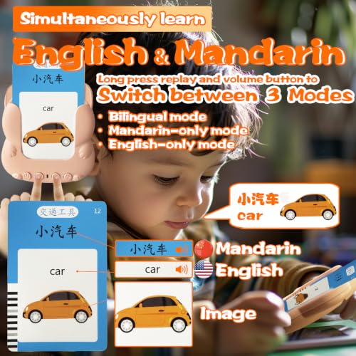Bilingual Talking Flash Cards for Kids - Test Mode Chinese Poem - color: Chinese Poem