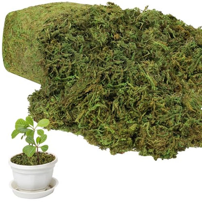 YUNVI 17.6 OZ Large Capacity Artificial Moss for Potted Plants and Crafts | Faux Moss Grass for Indoor Planters Craft Projects Floral Arrangements Decorative Greenery and Hamster Habitats