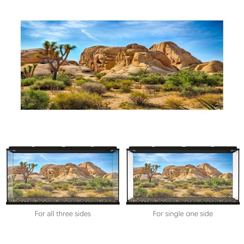 Polyester 5x3ft Joshua Tree National Park Backdrop Arid Barren Cactus Sandstone Rock Climate Mountain and Desert Scenery Backdrop Desert Terrarium Background | Arid Barren Cactus Sandstone Rock Climate Mountain and Desert Scenery Backdrop, Polyester - siz