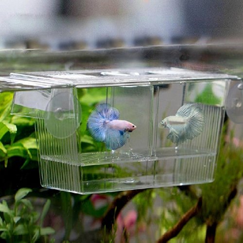 Fish Breeding Box Tank Aquarium Fish Tank Guppy Double Breeding Breeder Rearing Trap Box Hatchery Aquarium Isolation Box for Baby Shrimp Guppy