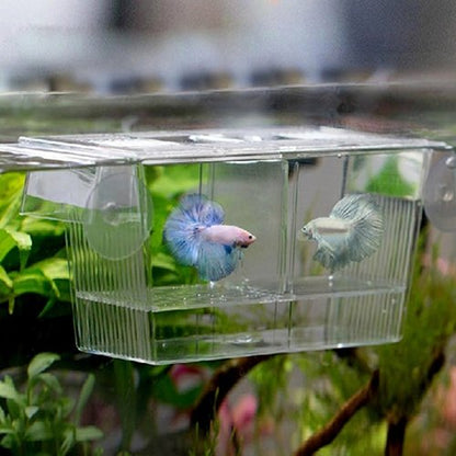 Fish Breeding Box Tank Aquarium Fish Tank Guppy Double Breeding Breeder Rearing Trap Box Hatchery Aquarium Isolation Box for Baby Shrimp Guppy