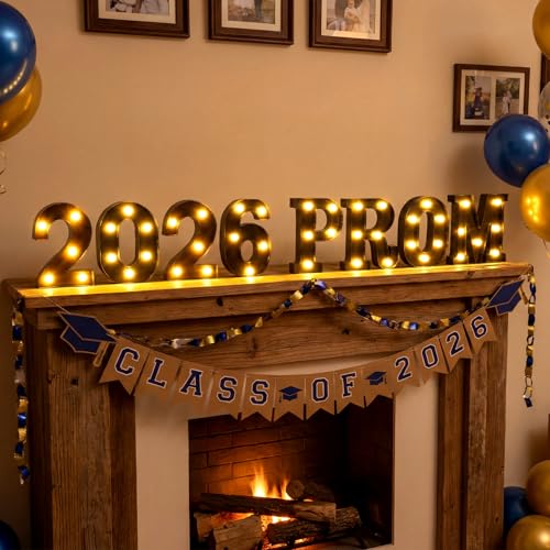 Aurelema Sukkot Large LED Letter Sign LED Lights, Dance, 8.27 Inches - color: Dance, size: 6.3 Inches