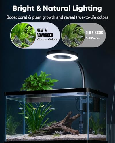 Pawfly 2 Gallon Fish Tank, Small Aquarium Kit, Betta Fish Tank Starter Kit with 6 W LED Light, 65 GPH Filter, Siphon Vacuum Water Changer & Basket, Aquarium for Betta, Shrim, or Small Fishes