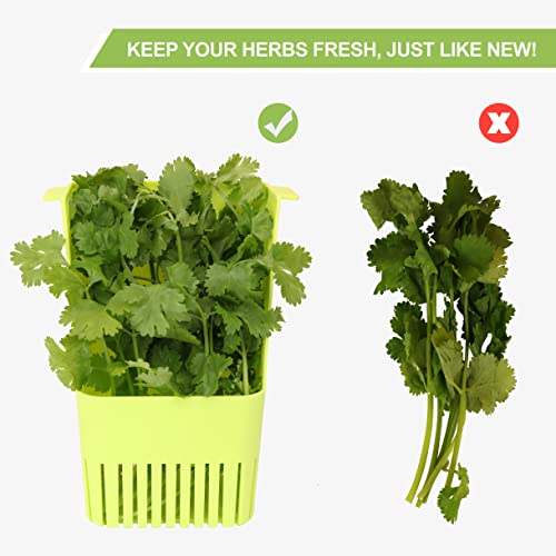 LUVCOSY Herb Keeper, BPA-Free Plastic Herb Saver with an Inner Basket for Cilantro, Mint, Parsley, and Asparagus, Keeps Fresh Herbs for 3 Times Longer,1Pcs, Green - color: Herb Keeper - Green