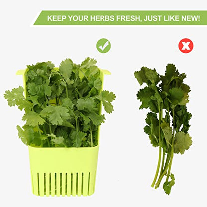 LUVCOSY Herb Keeper, BPA-Free Plastic Herb Saver with an Inner Basket for Cilantro, Mint, Parsley, and Asparagus, Keeps Fresh Herbs for 3 Times Longer,1Pcs, Green - color: Herb Keeper - Green