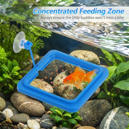 4 Pcs Fish Feeding Ring for Aquarium, Square and Round Floating Aquarium Food Feeder for Betta and Goldfish Turtle & Small Fishes, Fish Tank Accessories for Efficient Feeding Management