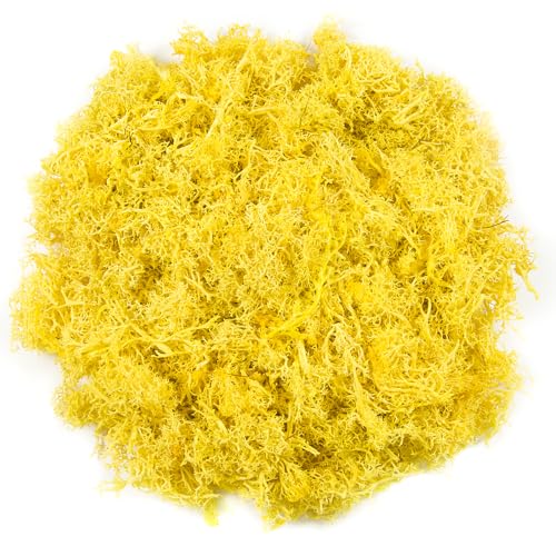 3.5oz Fake Yellow Moss for Crafts | Realistic Artificial Reindeer Moss for Art, Floral Project, Table Centerpieces, Fairy Garden Accessories, Wall Decor - color: Yellow