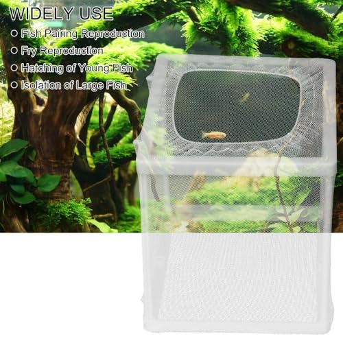 Aquarium Breeder Box with Suction Cups Partition Design Detachable Isolation Hatchery for Fish Fry Tank Breeding Plastic Mesh (S) - size: S