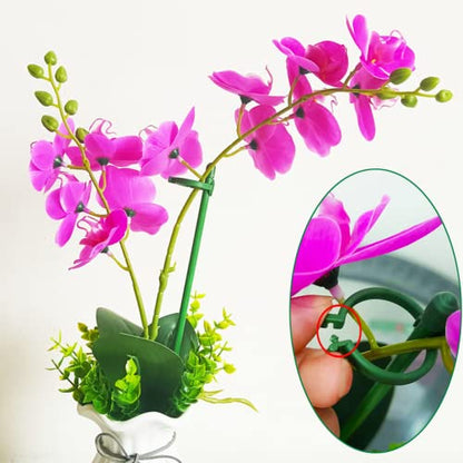 Belit 8 Pack Small Plant Support Plant Stakes, Adjustable Garden Single Stem Support Stake, Planter Support Ring for Orchid, Rose, Peony, Peppers and More, 12 inch - size: 11.8 Inch