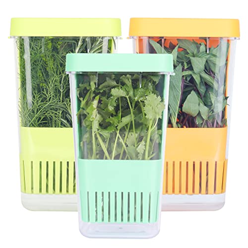 LUVCOSY 3 Pack Herb Keeper, BPA-Free Plastic Herb Saver with an Inner Basket for Cilantro, Mint, Parsley, and Asparagus, Keeps Fresh Herbs for 3 Times Longer - color: Herb Keeper - Green & Orange & Blue